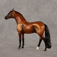 Trevor LE-5 Chip Andalusian by Madi Wiseman September $99 Chips