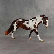 Daring Attraction LE-20 FCM Remington by Julie Keim TS26