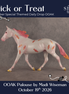 Trick or Treat OOAK Palouse by Madi Wiseman DDOOAKs26
