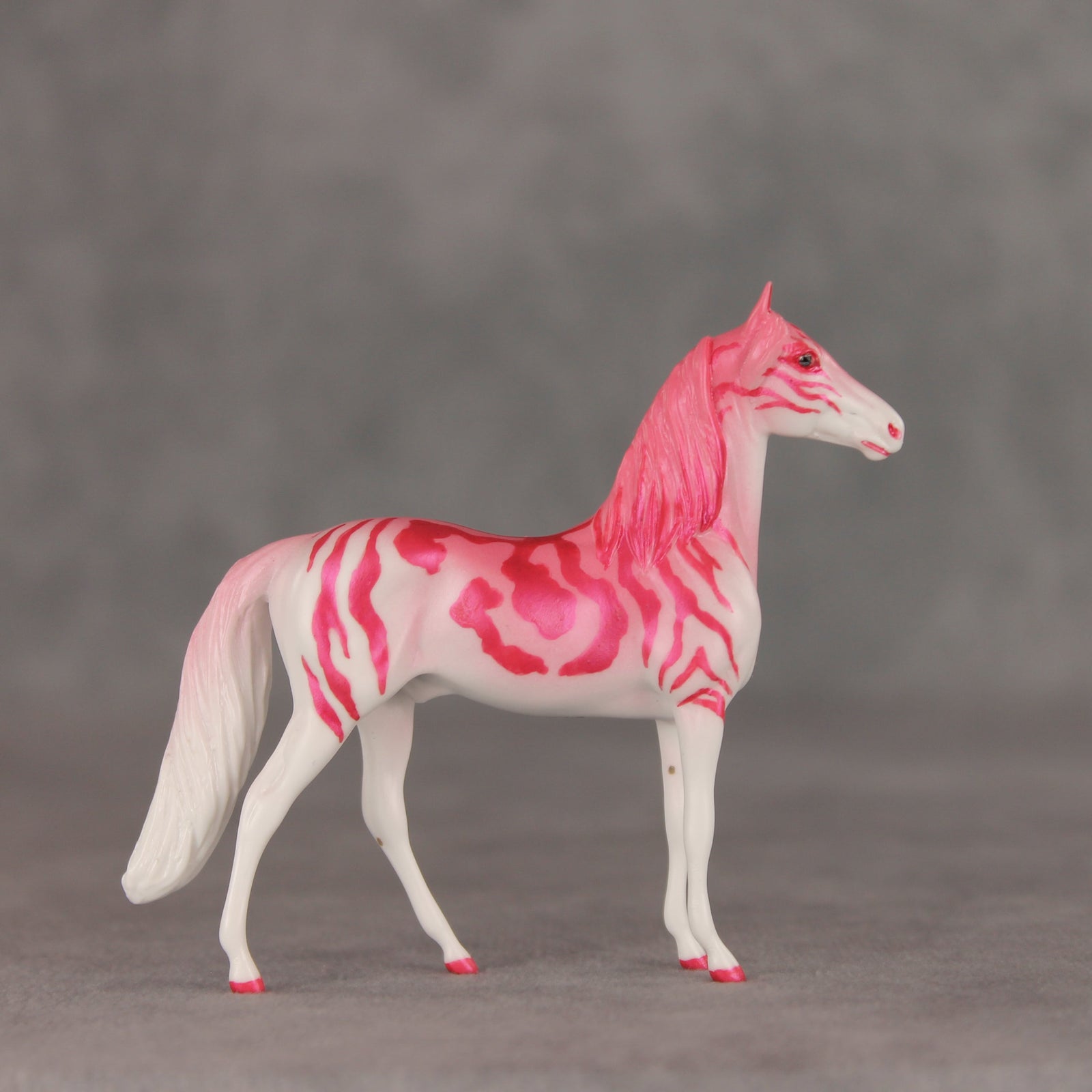 Tropical Tabby OOAK Chip Morgan by Jess Hamill VV26