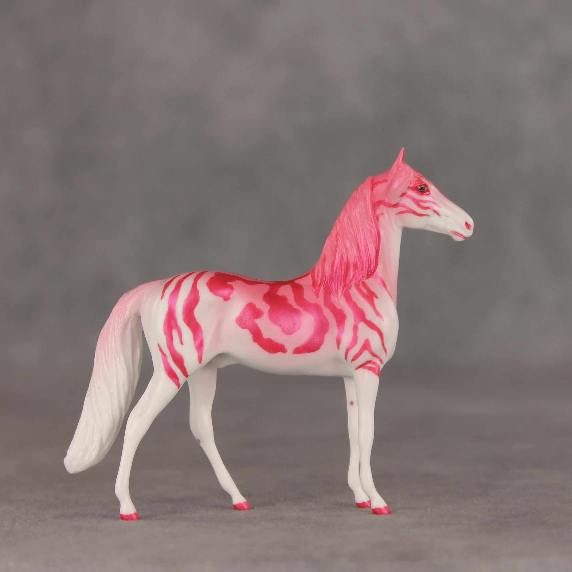 Tropical Tabby OOAK Chip Morgan by Jess Hamill VV26
