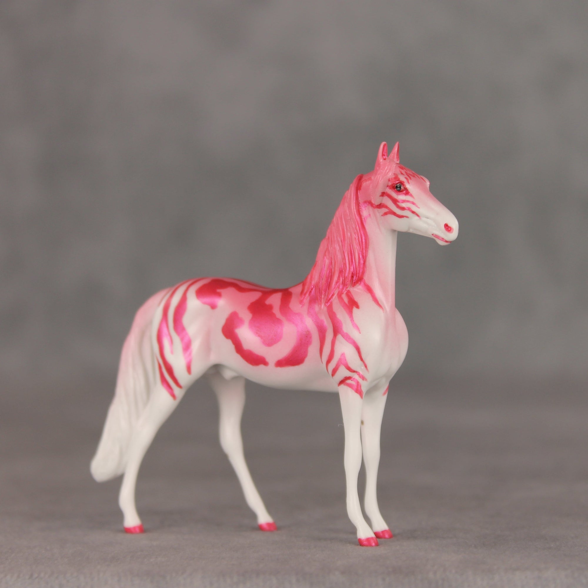 Tropical Tabby OOAK Chip Morgan by Jess Hamill VV26