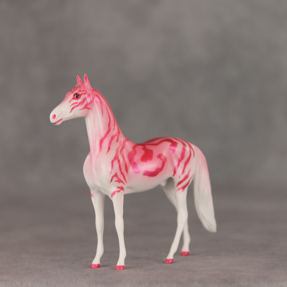 Tropical Tabby OOAK Chip Morgan by Jess Hamill VV26