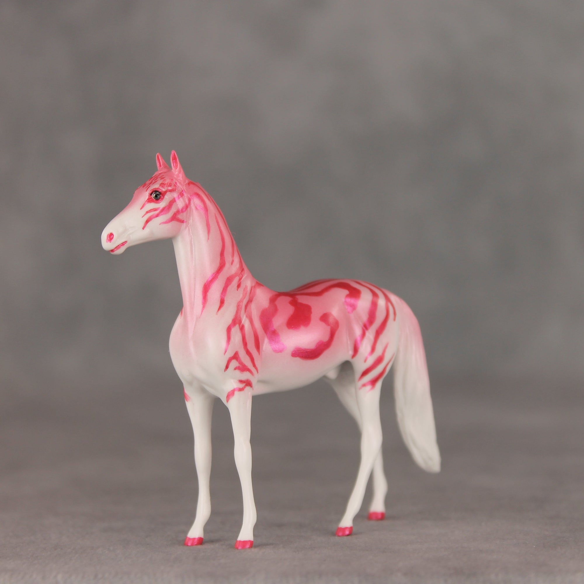 Tropical Tabby OOAK Chip Morgan by Jess Hamill VV26