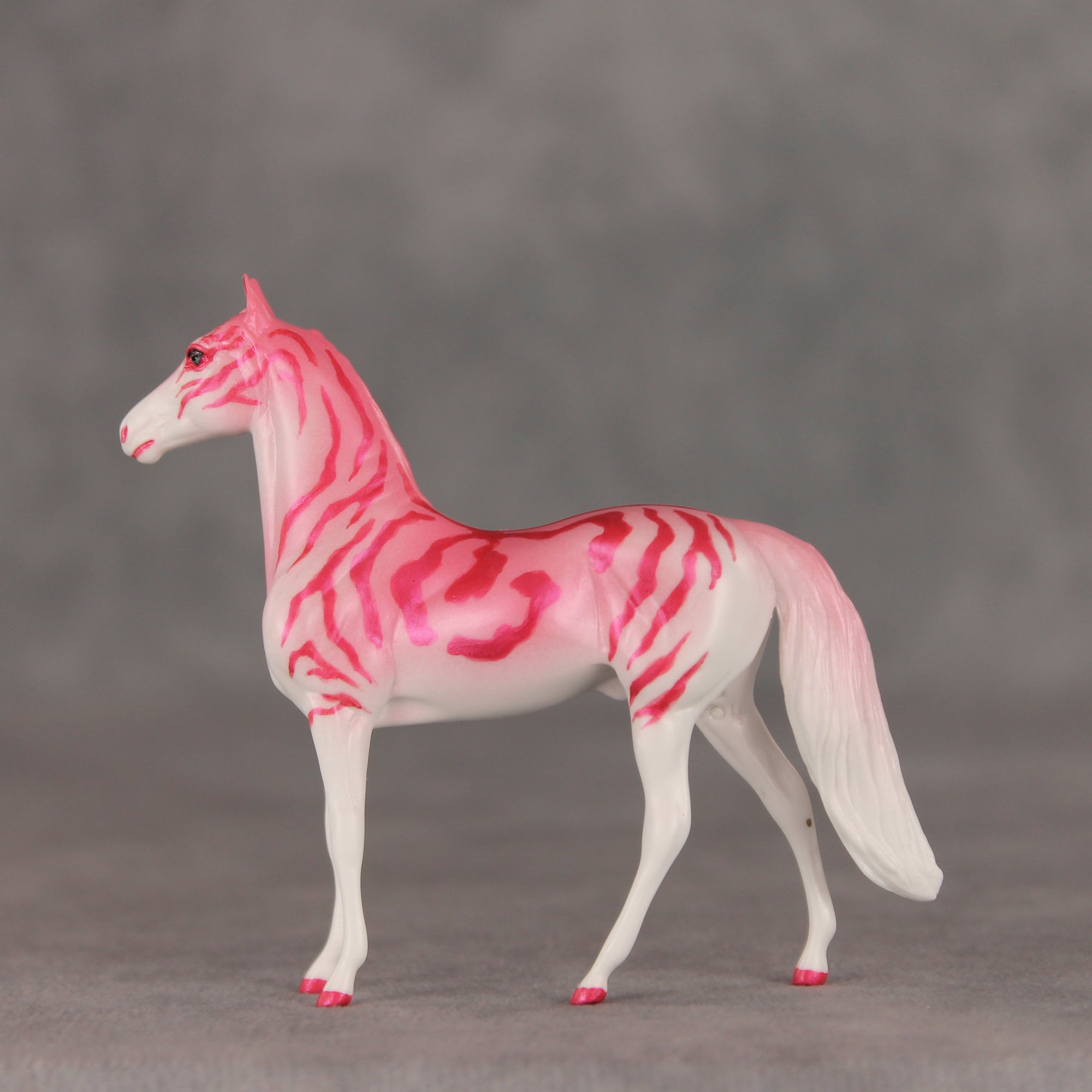 Tropical Tabby OOAK Chip Morgan by Jess Hamill VV26