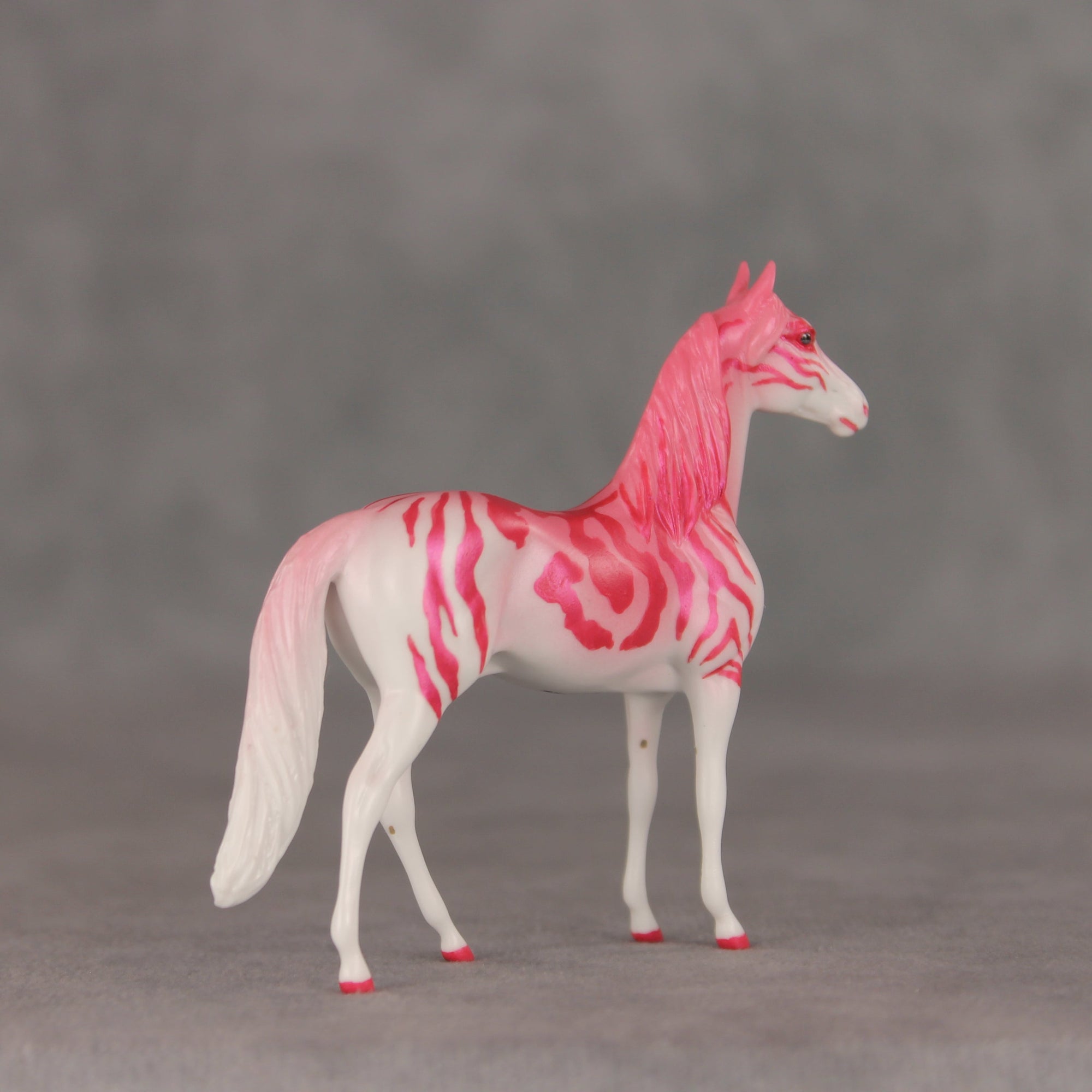 Tropical Tabby OOAK Chip Morgan by Jess Hamill VV26