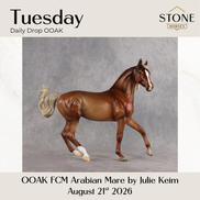 Tuesday OOAK FCM Arabian Mare by Julie Keim DDOOAKs26