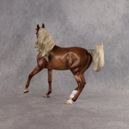 Tuesday OOAK FCM Arabian Mare by Julie Keim DDOOAKs26
