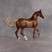 Tuesday OOAK FCM Arabian Mare by Julie Keim DDOOAKs26