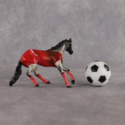 Tunisia OOAK Chip Cutting Horse by Enrique Duarte SCD26