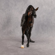 Turn Back Tyme OOAK EFCM Andalusian by Carly Kudalis Best Offer 10.6.2026