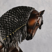 Turn Back Tyme OOAK EFCM Andalusian by Carly Kudalis Best Offer 10.6.2026