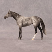 Twist OOAK Chip Thoroughbred  by Madi Wiseman EQ26