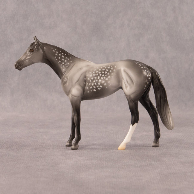 Twist OOAK Chip Thoroughbred  by Madi Wiseman EQ26
