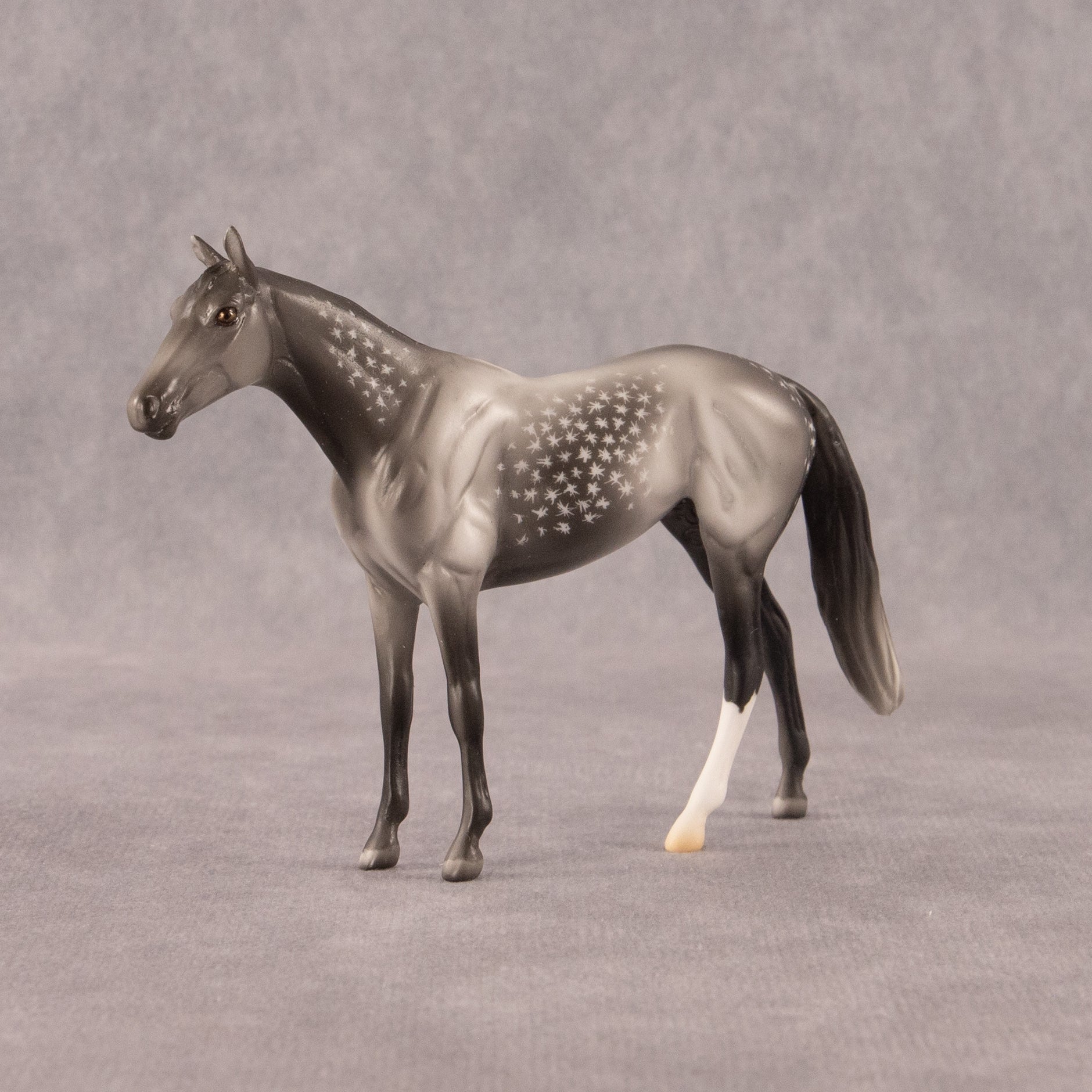 Twist OOAK Chip Thoroughbred  by Madi Wiseman EQ26