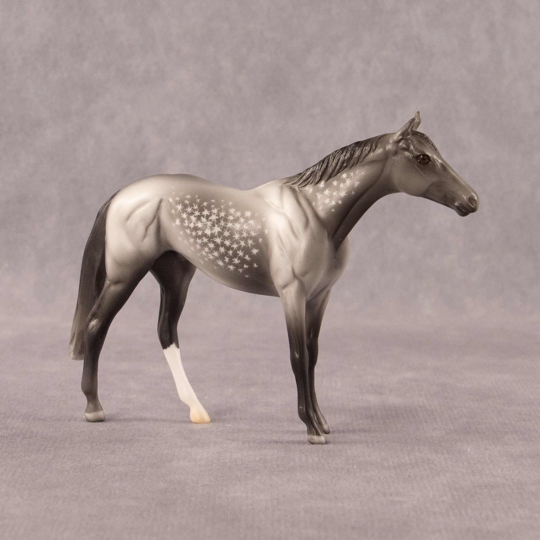 Twist OOAK Chip Thoroughbred  by Madi Wiseman EQ26