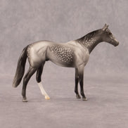 Twist OOAK Chip Thoroughbred  by Madi Wiseman EQ26