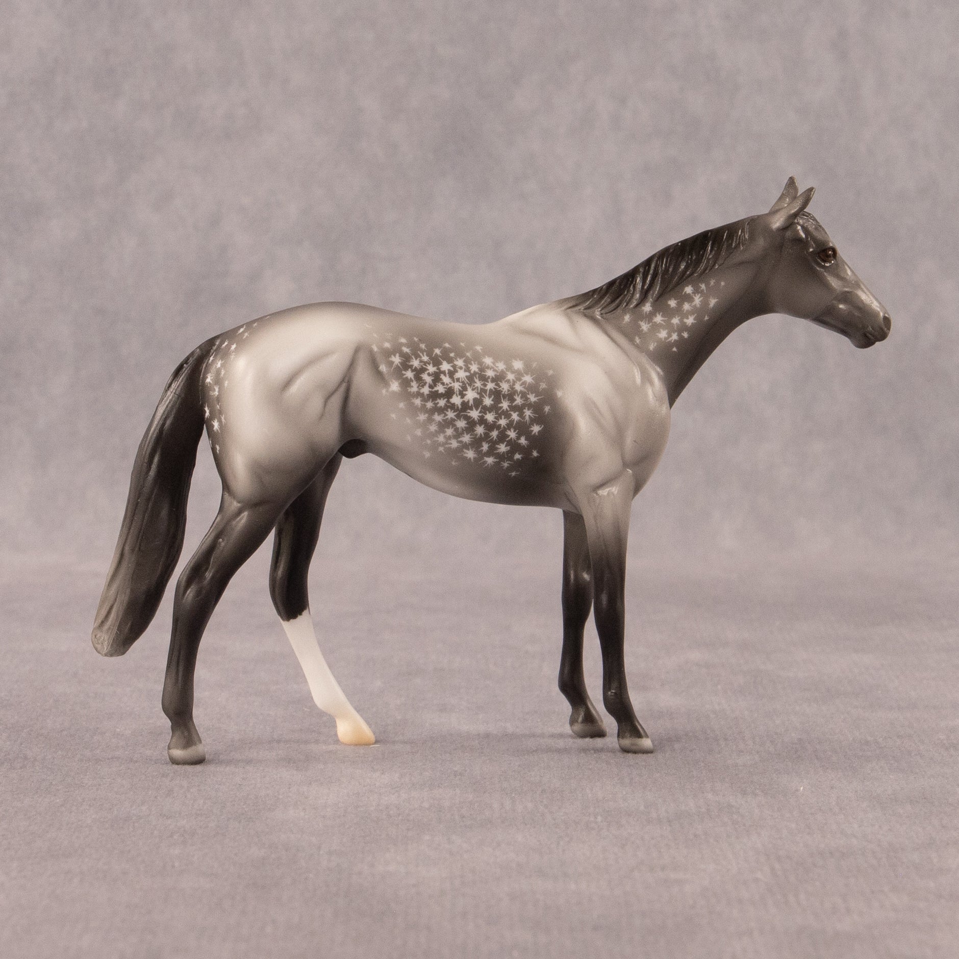 Twist OOAK Chip Thoroughbred  by Madi Wiseman EQ26