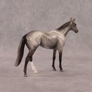 Twist OOAK Chip Thoroughbred  by Madi Wiseman EQ26
