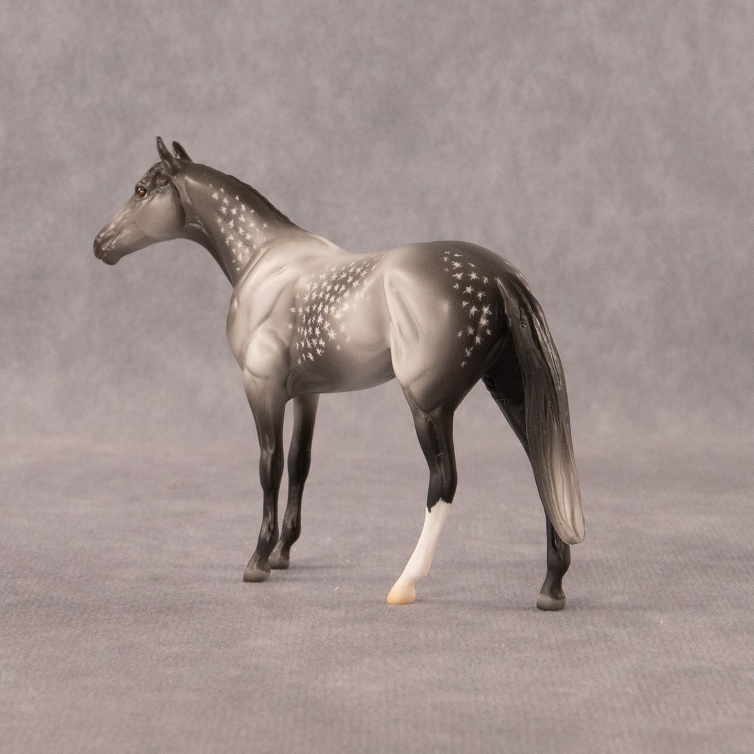 Twist OOAK Chip Thoroughbred  by Madi Wiseman EQ26