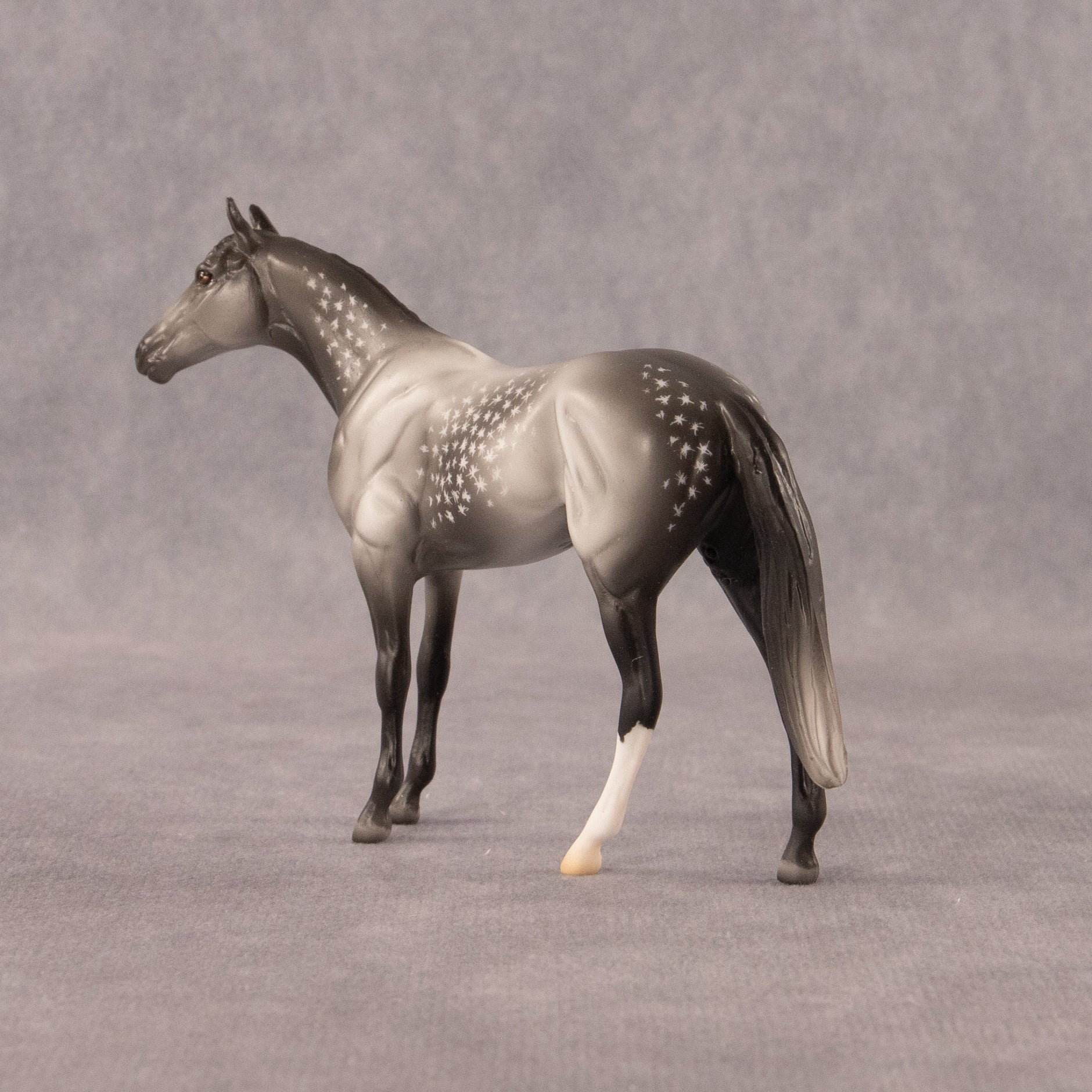 Twist OOAK Chip Thoroughbred  by Madi Wiseman EQ26