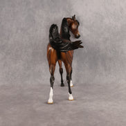 Twist of Cain OOAK EFCM Arabian Stallion by Angela Marleau Best Offer 9.22.2026