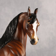 Twist of Cain OOAK EFCM Arabian Stallion by Angela Marleau Best Offer 9.22.2026