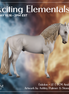 Eidolon LE-7 FCM Andalusian by Ashley Palmer EL26