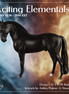 Drogo LE-7 FCM Andalusian by Ashley Palmer EL26