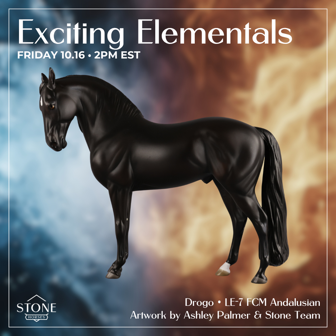 Drogo LE-7 FCM Andalusian by Ashley Palmer EL26