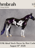 Uhmbrah OOAK Ideal Stock Horse by Rori Corbett DDOOAKs26