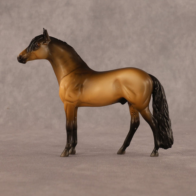 Uncle OOAK Chip Andalusian by Madi Wiseman LHS26