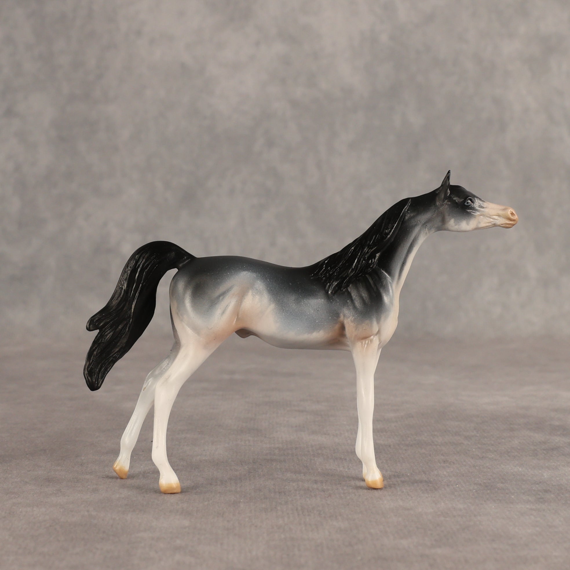 Unintentional Rodent OOAK Chip Arabian by Julie Keim SHCF26