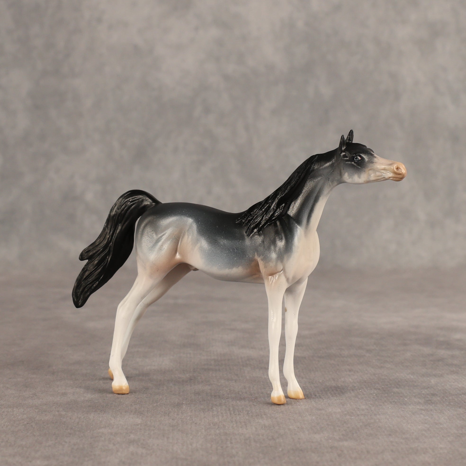 Unintentional Rodent OOAK Chip Arabian by Julie Keim SHCF26