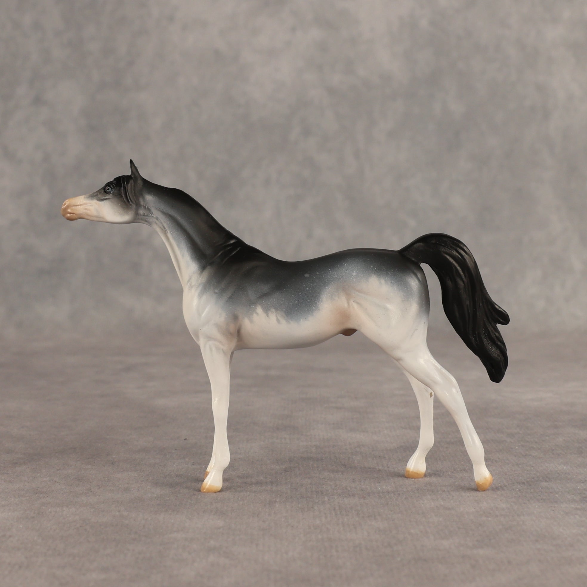 Unintentional Rodent OOAK Chip Arabian by Julie Keim SHCF26