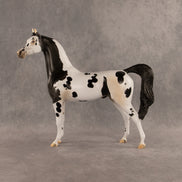 Eat Pray Flock OOAK Arabian Stallion by Anna Rieck DDOOAKs26