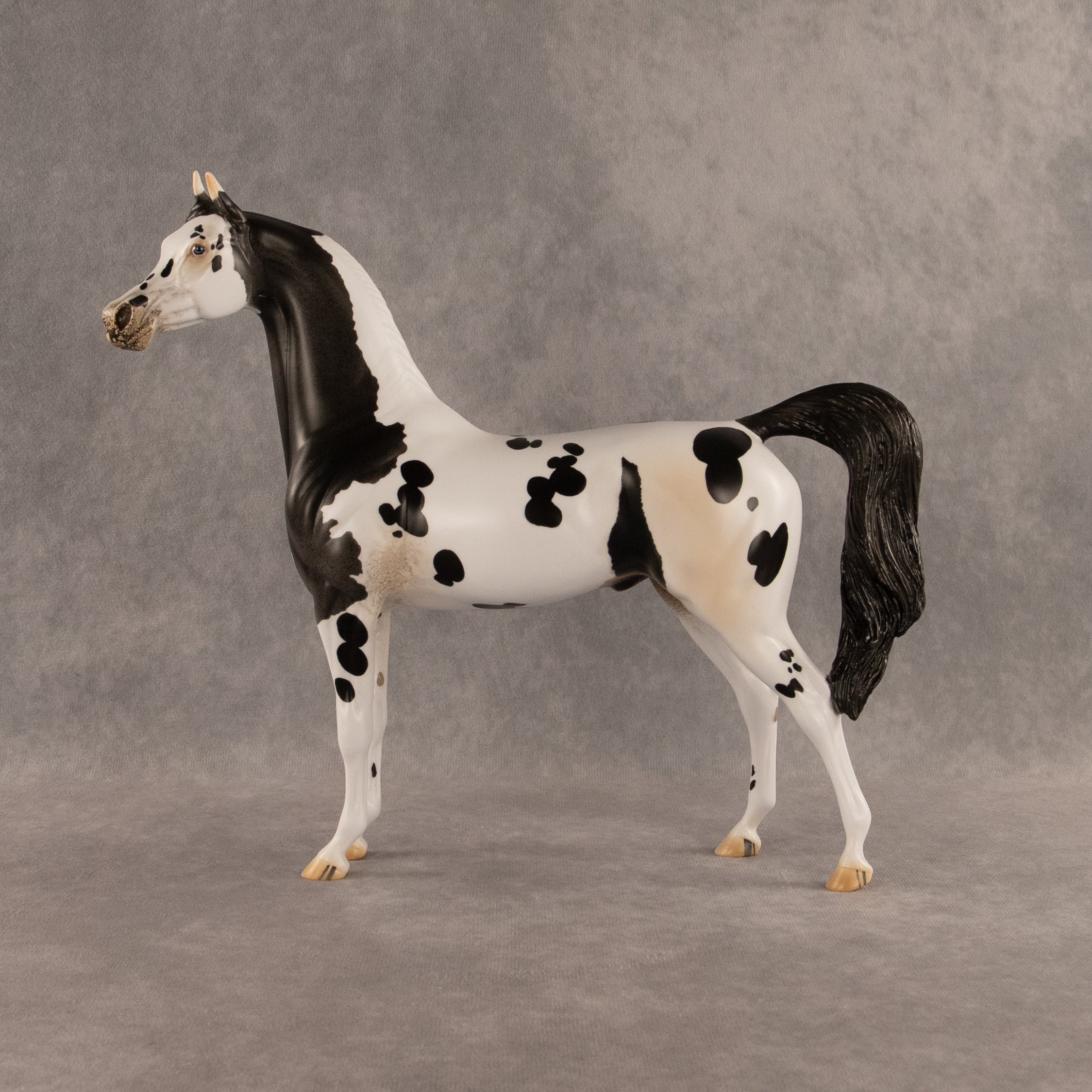 Eat Pray Flock OOAK Arabian Stallion by Anna Rieck DDOOAKs26