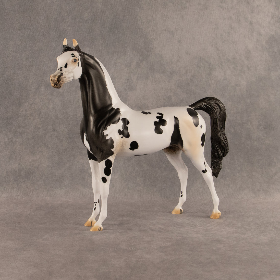 Eat Pray Flock OOAK Arabian Stallion by Anna Rieck DDOOAKs26