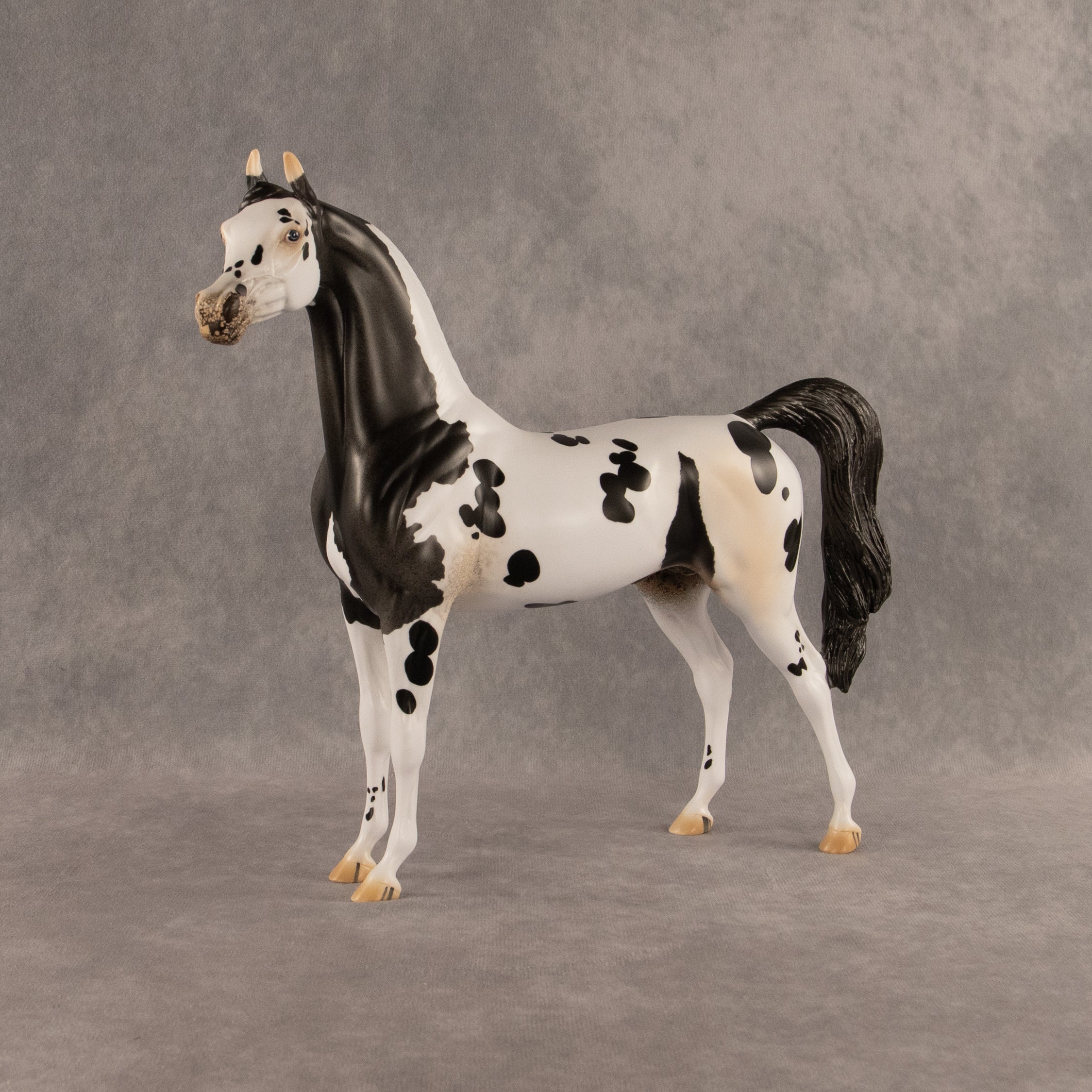 Eat Pray Flock OOAK Arabian Stallion by Anna Rieck DDOOAKs26