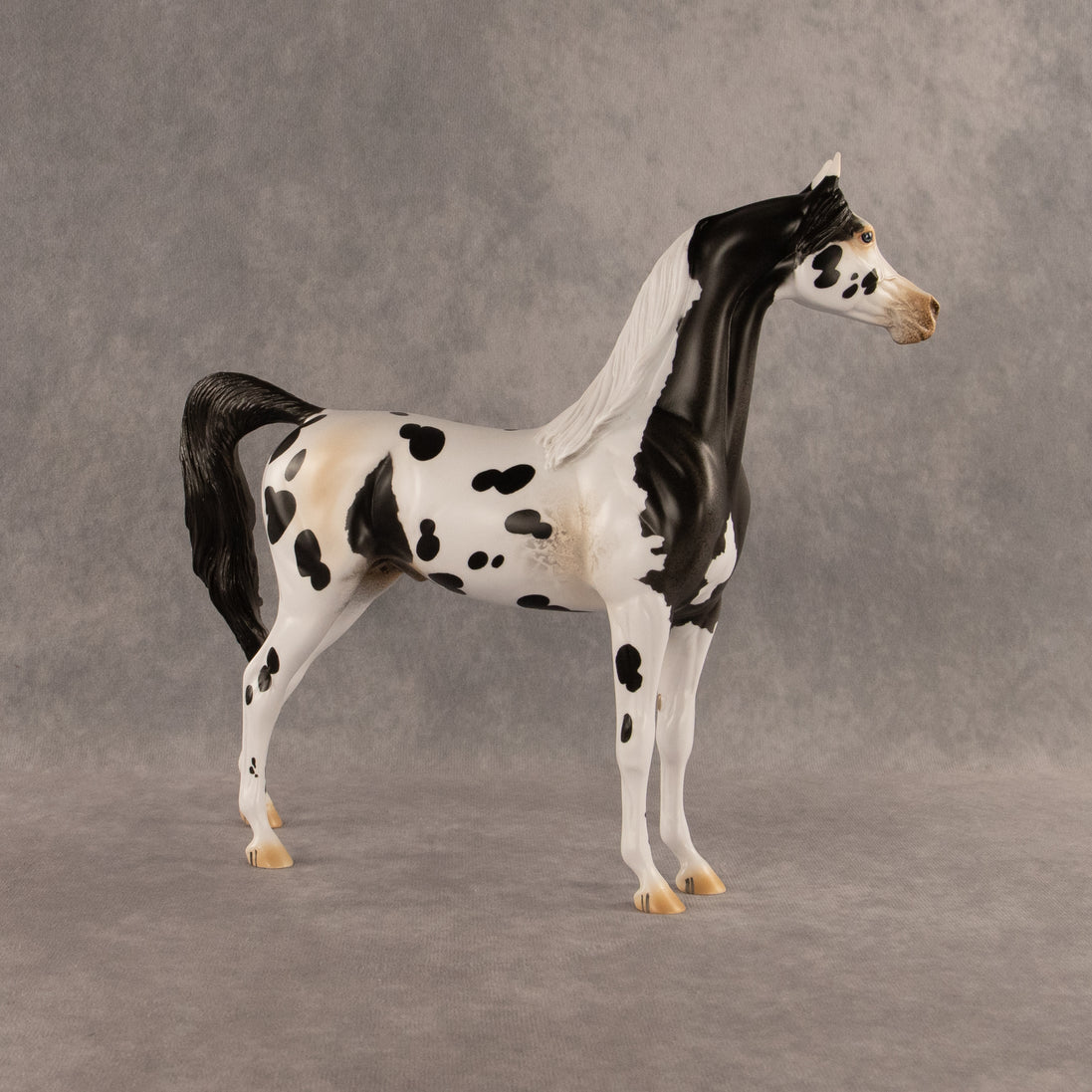 Eat Pray Flock OOAK Arabian Stallion by Anna Rieck DDOOAKs26