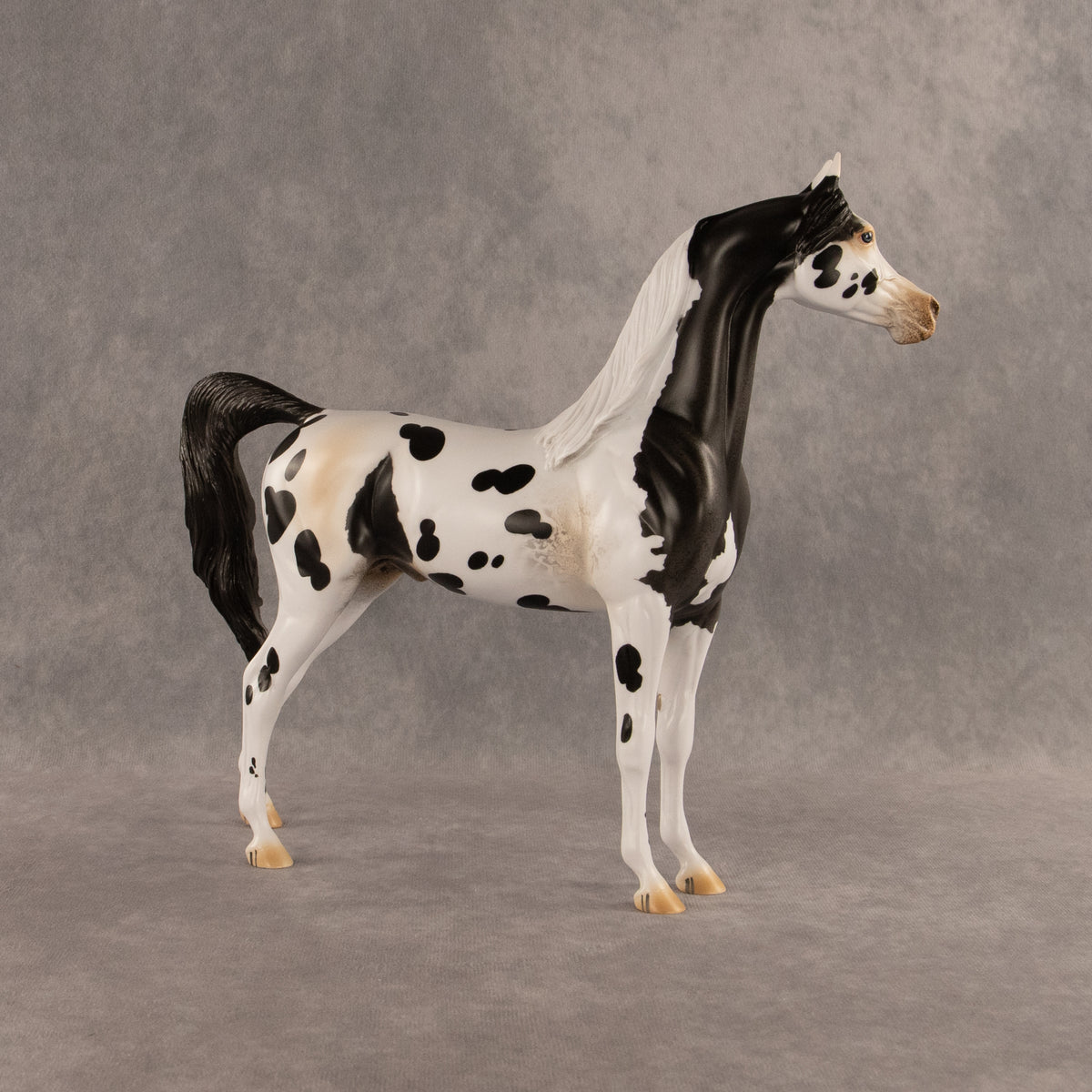 Eat Pray Flock OOAK Arabian Stallion by Anna Rieck DDOOAKs26