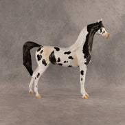 Eat Pray Flock OOAK Arabian Stallion by Anna Rieck DDOOAKs26