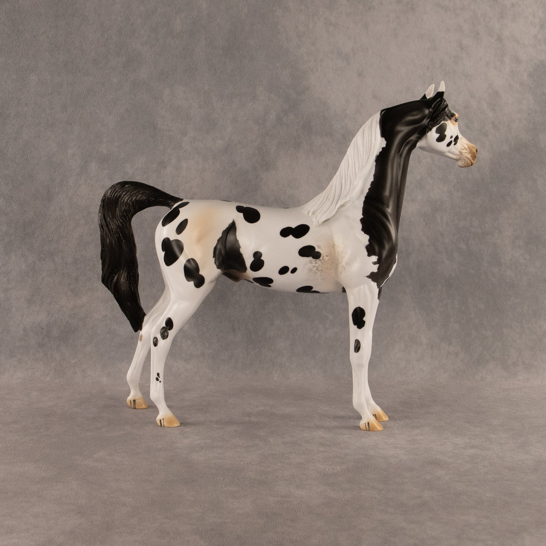 Eat Pray Flock OOAK Arabian Stallion by Anna Rieck DDOOAKs26