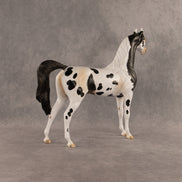 Eat Pray Flock OOAK Arabian Stallion by Anna Rieck DDOOAKs26
