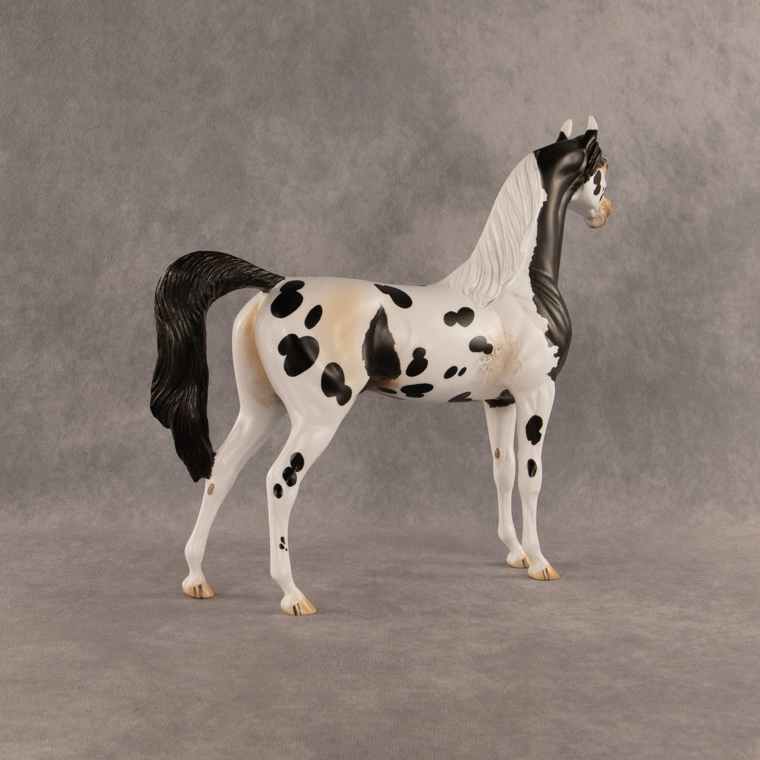 Eat Pray Flock OOAK Arabian Stallion by Anna Rieck DDOOAKs26
