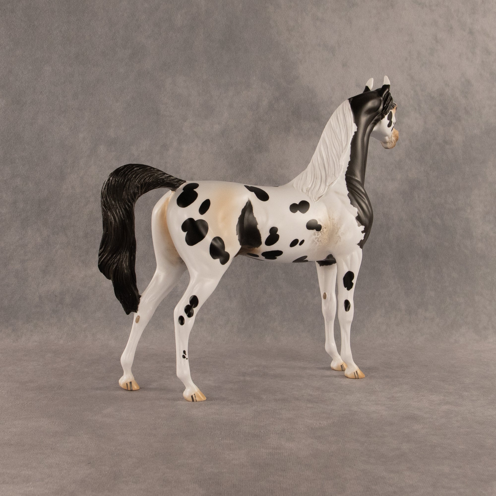 Eat Pray Flock OOAK Arabian Stallion by Anna Rieck DDOOAKs26