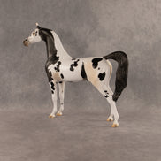 Eat Pray Flock OOAK Arabian Stallion by Anna Rieck DDOOAKs26