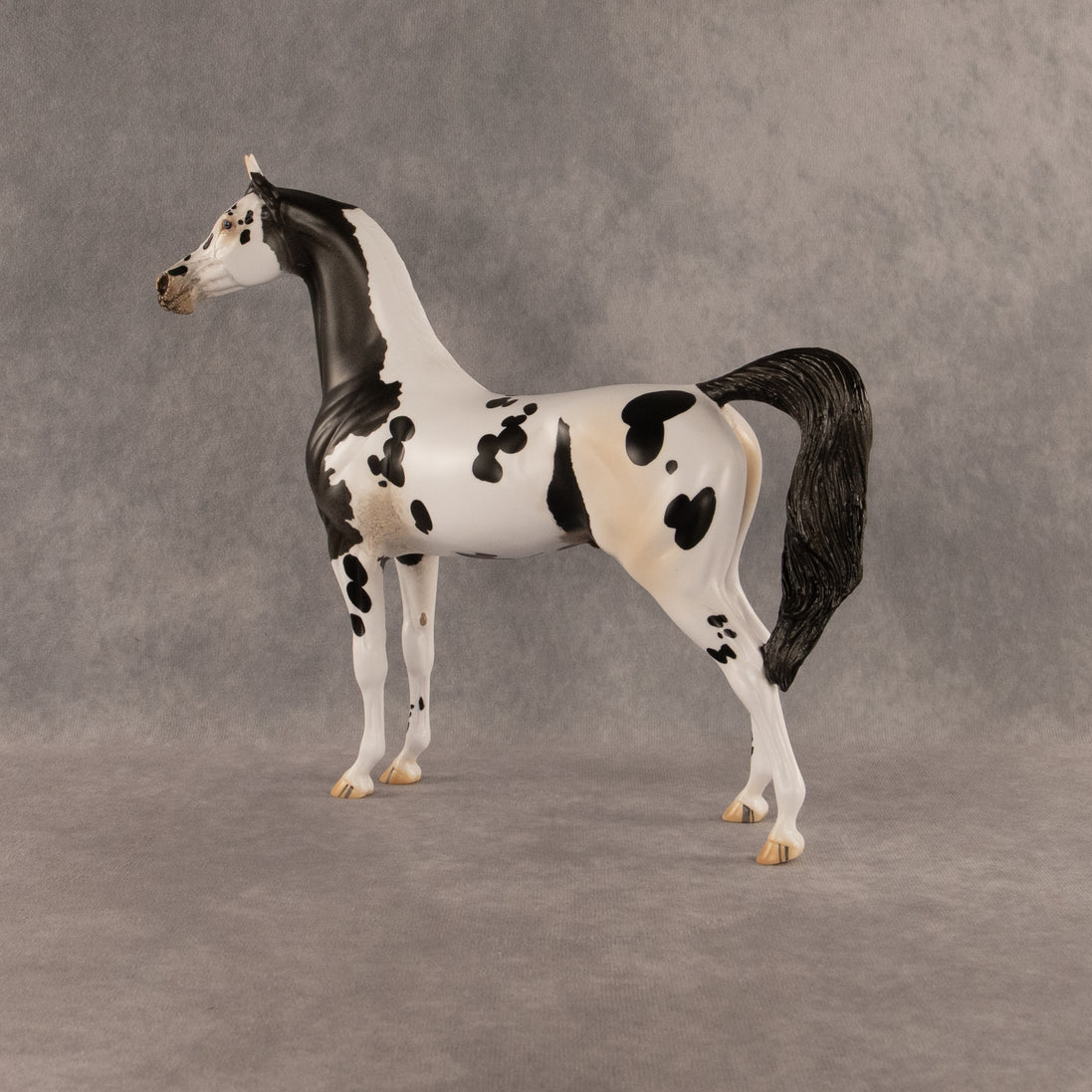 Eat Pray Flock OOAK Arabian Stallion by Anna Rieck DDOOAKs26