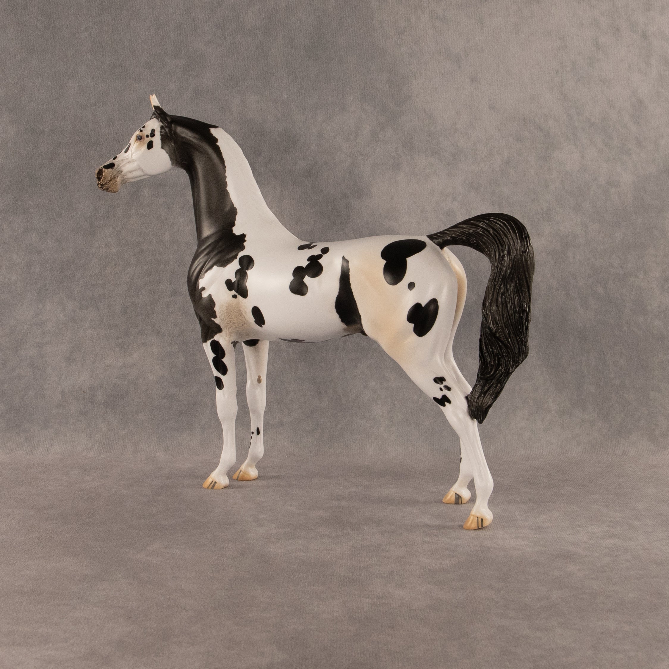 Eat Pray Flock OOAK Arabian Stallion by Anna Rieck DDOOAKs26