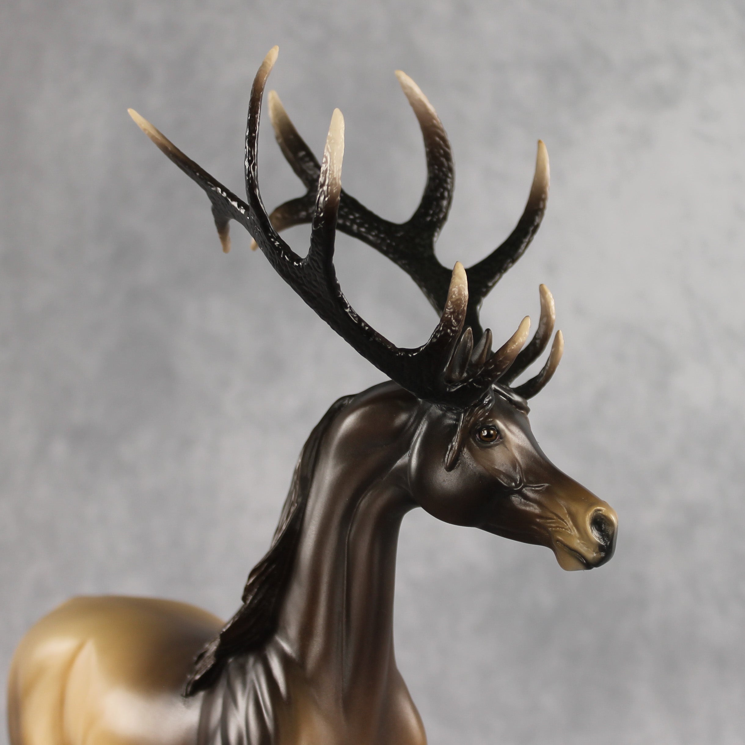 Picturesque LE-5 EFCM Arabian Stallion by Ellen Robbins & Melanie Miller YP26